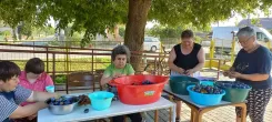 Washing the fruit is like a mindfulness exercise.